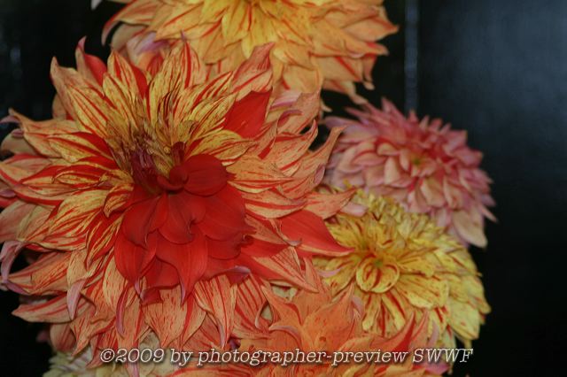 crw_5833.jpg