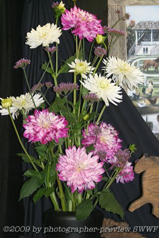 crw_5840.jpg