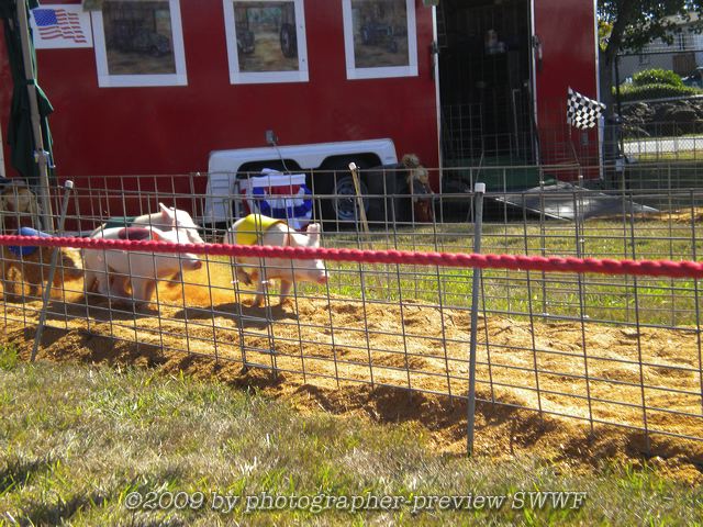 dscn1754.jpg