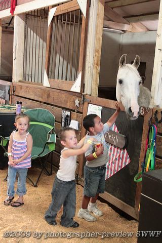 img_1054.jpg